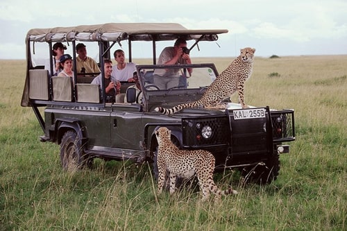 Classic Safari Package
