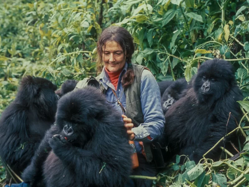 Bwindi Impenetrable National Park